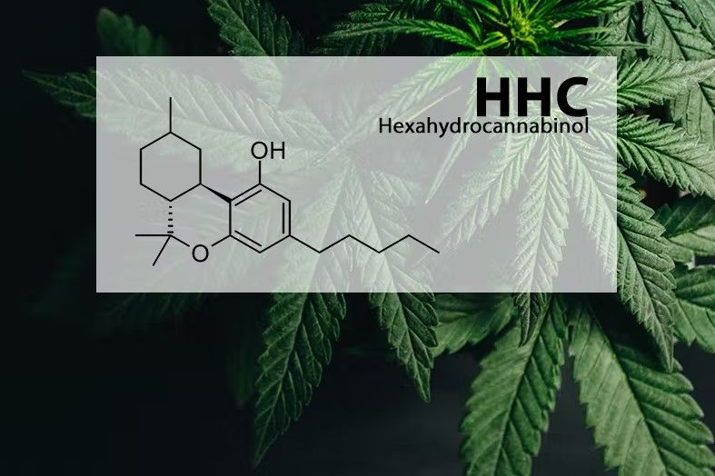 what is hexahydrocannabinol hhc What is Hexahydrocannabinol (HHC)