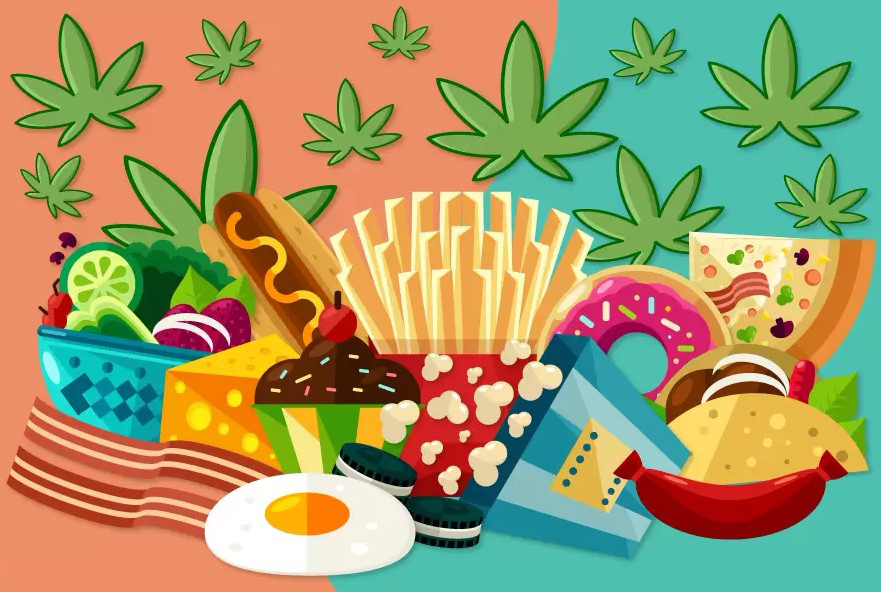 Munchies and cannabis 13 Cannabis and Food: Explaining The Munchies