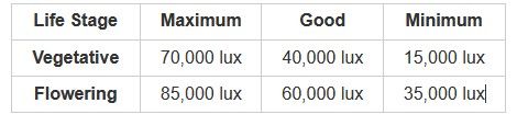 how to improve cannabis yields using a lux meter 31 How To Improve Cannabis Yields Using A Lux Meter