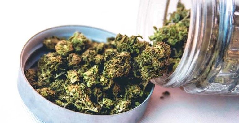 pesticides and marijuana 6 Pesticides on Your Cannabis