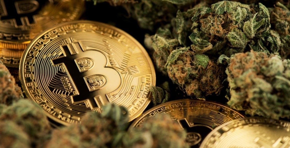 Cryptocurrency and weed 2 Cryptocurrency and Weed: Best Crypto Cannabis Coins of 2022