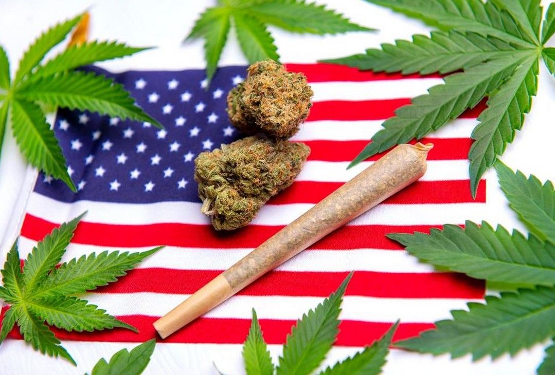 legalisation in usa 14 Cannabis Legalisation in USA: Reasons Why Medical Marijuana Should Be Legal
