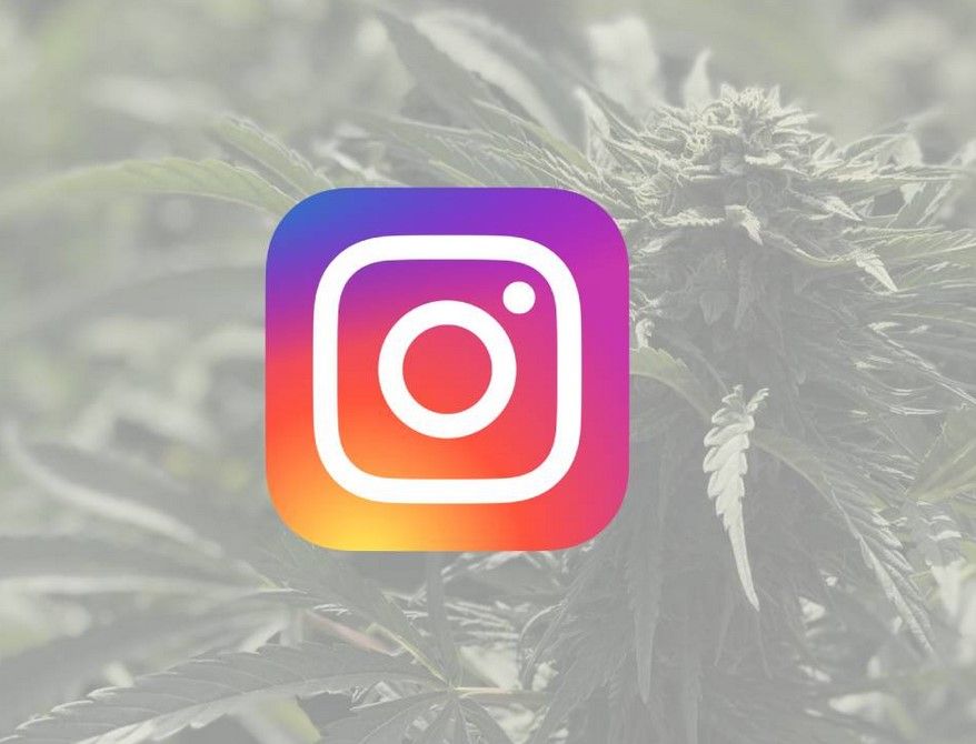 Cannabis And Instagram 31 Cannabis And Instagram Guide