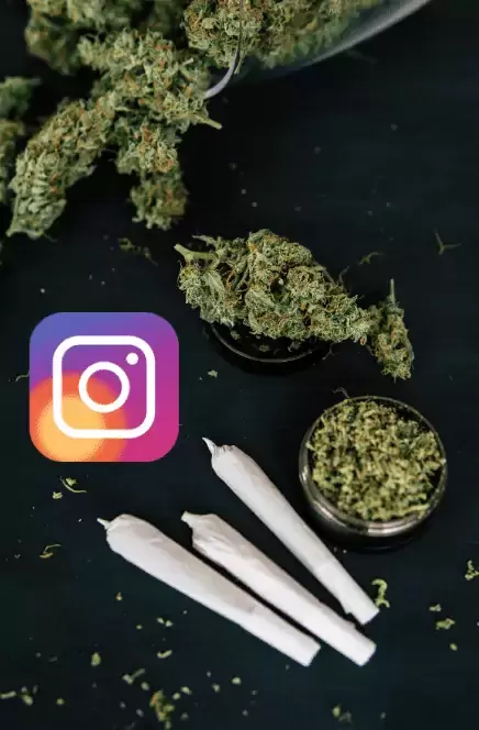 Cannabis And Instagram 32 Cannabis And Instagram Guide