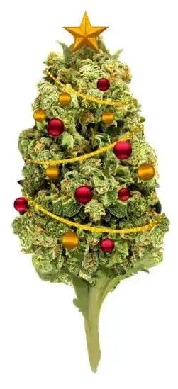 Cannabis holiday gifts 32 Cannabis Holiday Gifts That Stoners Will Love
