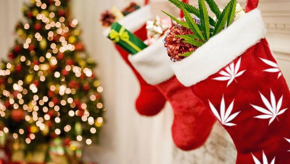 Cannabis holiday gifts 33 Cannabis Holiday Gifts That Stoners Will Love