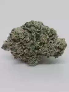 buy DOUBLE DEATH BUBBA – INDICA