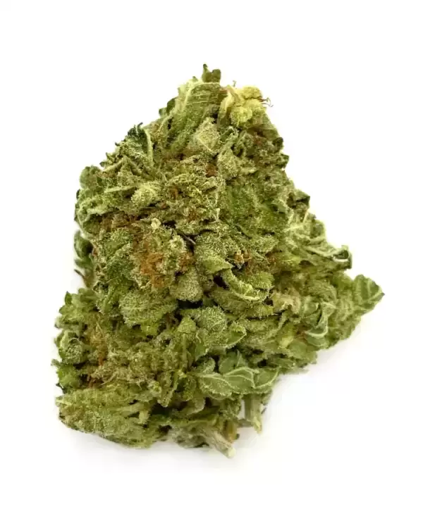 buy CRITICAL KUSH – INDICA