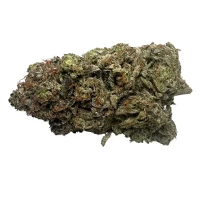 buy Pink Berry *Indica*