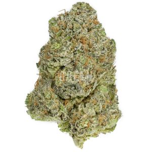 buy Apollo 11 by Bodhi Seeds