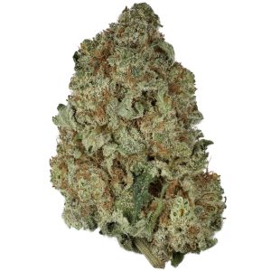 buy Blueberry Cheesecake by Pacific Seed Bank