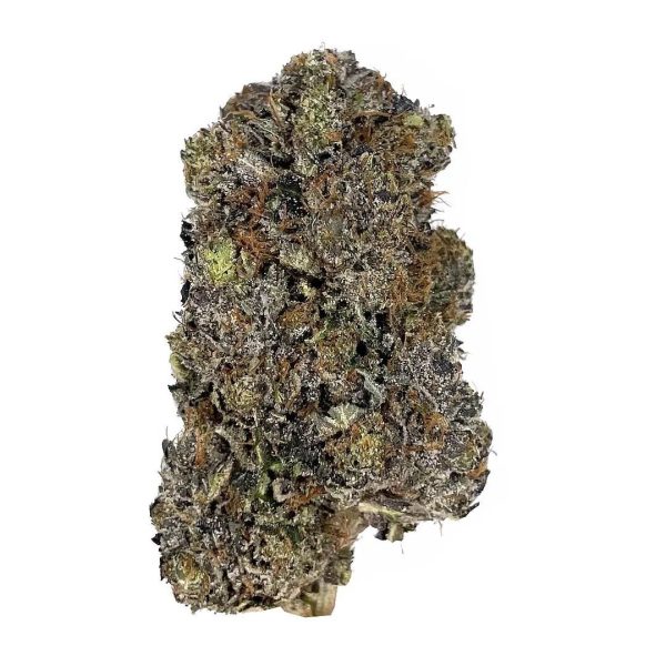 buy West Coast Pink LSO Indica