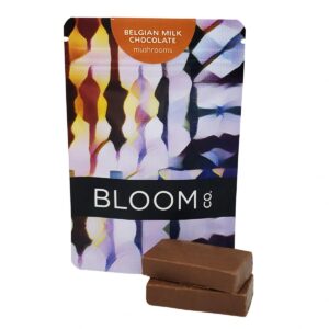 buy BLOOM – Mushroom Chocolate – 3g