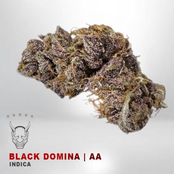 buy Black Domina – AA – $75/Oz