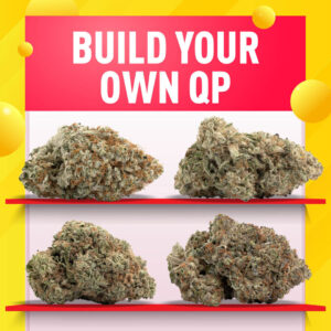 buy Build Your Own QP