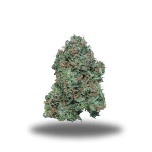 buy Gas Mask - Indica