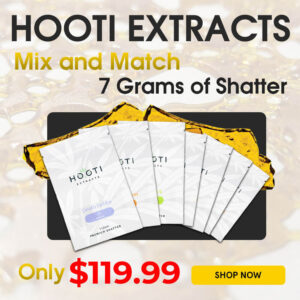buy Hooti Extracts Shatter 7 Pack