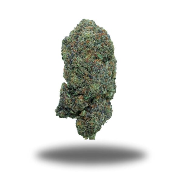 buy Pink Champagne - Indica
