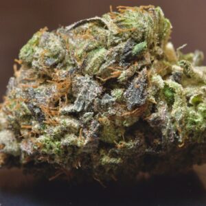 buy Pink Gangster LSO-Indica
