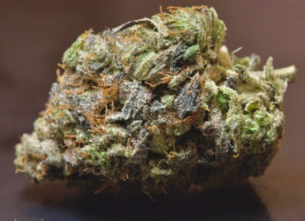 buy Pink Gangster LSO-Indica