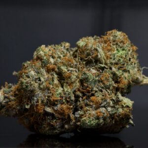 buy White Death LSO-Indica