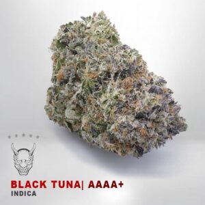 buy Black Tuna - AAAA+