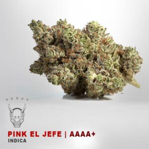 buy Pink El Jefe - AAAA+