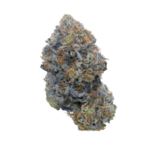 buy Pink Gas Mask LSO - Indica
