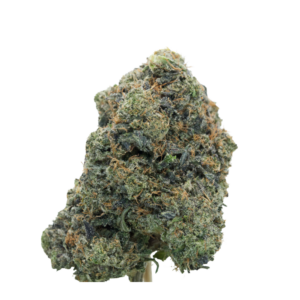 buy Pink Inferno - Indica