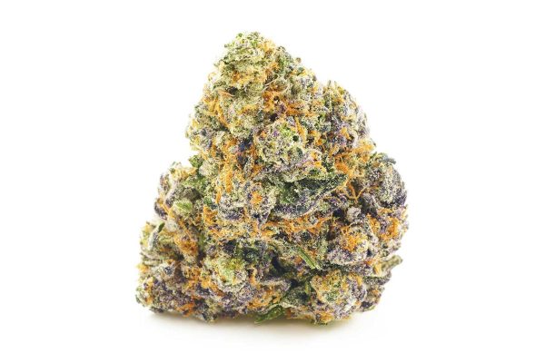 buy Funky Monkey - Hybrid