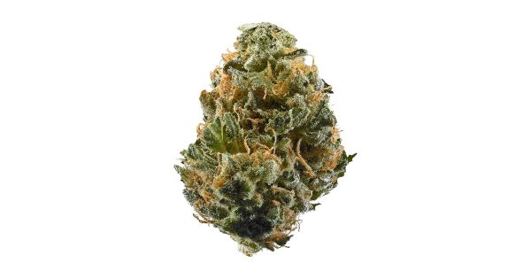 buy Nitro OG - Hybrid BULK