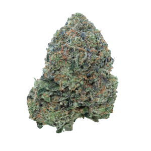 buy Park Fire Pink - Indica