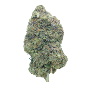 buy Pink Rockstar - Indica