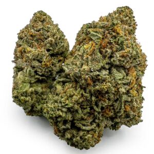 3 Gorillas