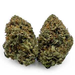 Alien Bubba