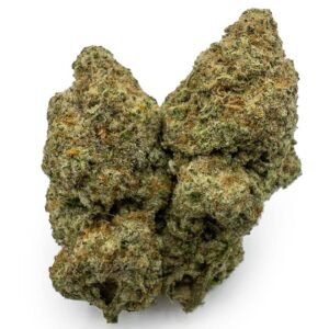 Animal Cookies