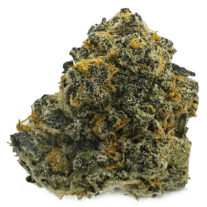 Apple Fritter
