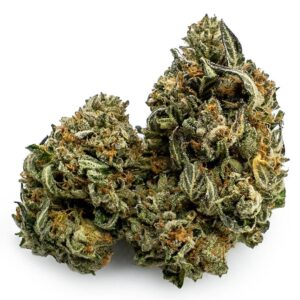 BC Kush