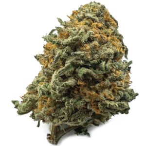 Black Cherry Gelato