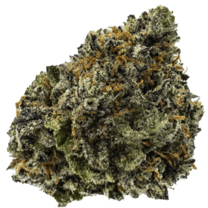 Black Platinum