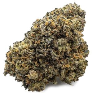 Black Truffle