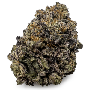 Blackberry