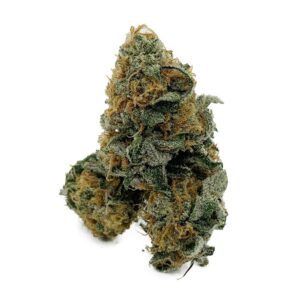 Blackberry OG (Contains Seeds)