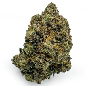 Bluefin Tuna Kush