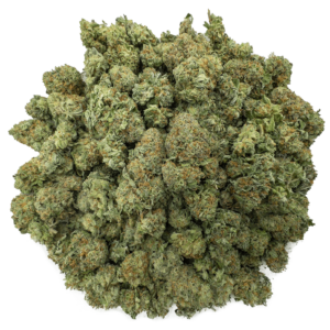 Blueberry – Wholesale