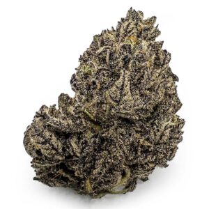 Budzilla