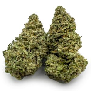 Cannatonic Untrimmed
