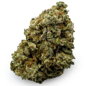 Chem Scout