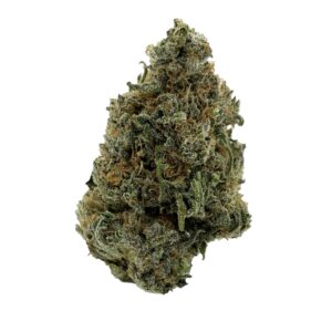 Chocolate OG