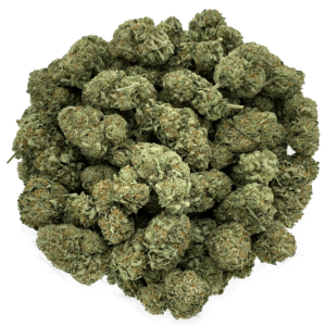 Comatose OG – 28 Grams